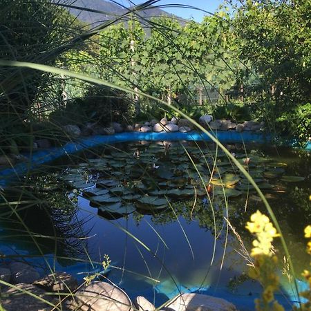 Appartamento Casa In Koenigs Garten Intragna Esterno foto