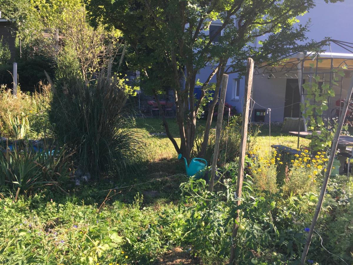 Appartamento Casa In Koenigs Garten Intragna Esterno foto